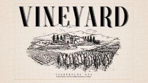 Vineyard in Ventura